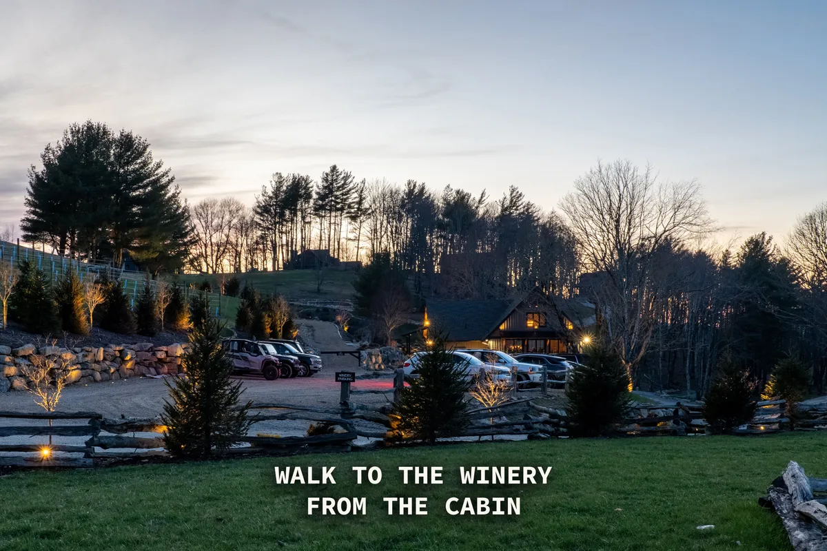 A charming cabin nestled among trees with a visible pathway leading toward the winery. The setting displays the cabin’s exterior, a welcoming social space, and proximity to Eagles Nest amenities. Sunlight filters through, suggesting relaxed outdoor gatherings and seamless access between private retreat and resort activities.