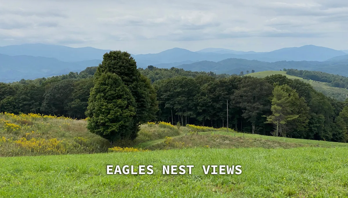 A sweeping view of rolling mountains, dense forests, open meadows, and blooming wildflowers under serene skies. This landscape captures the essence of the High Country’s unspoiled natural beauty and offers a visual invitation for hiking, birdwatching, and reflection.