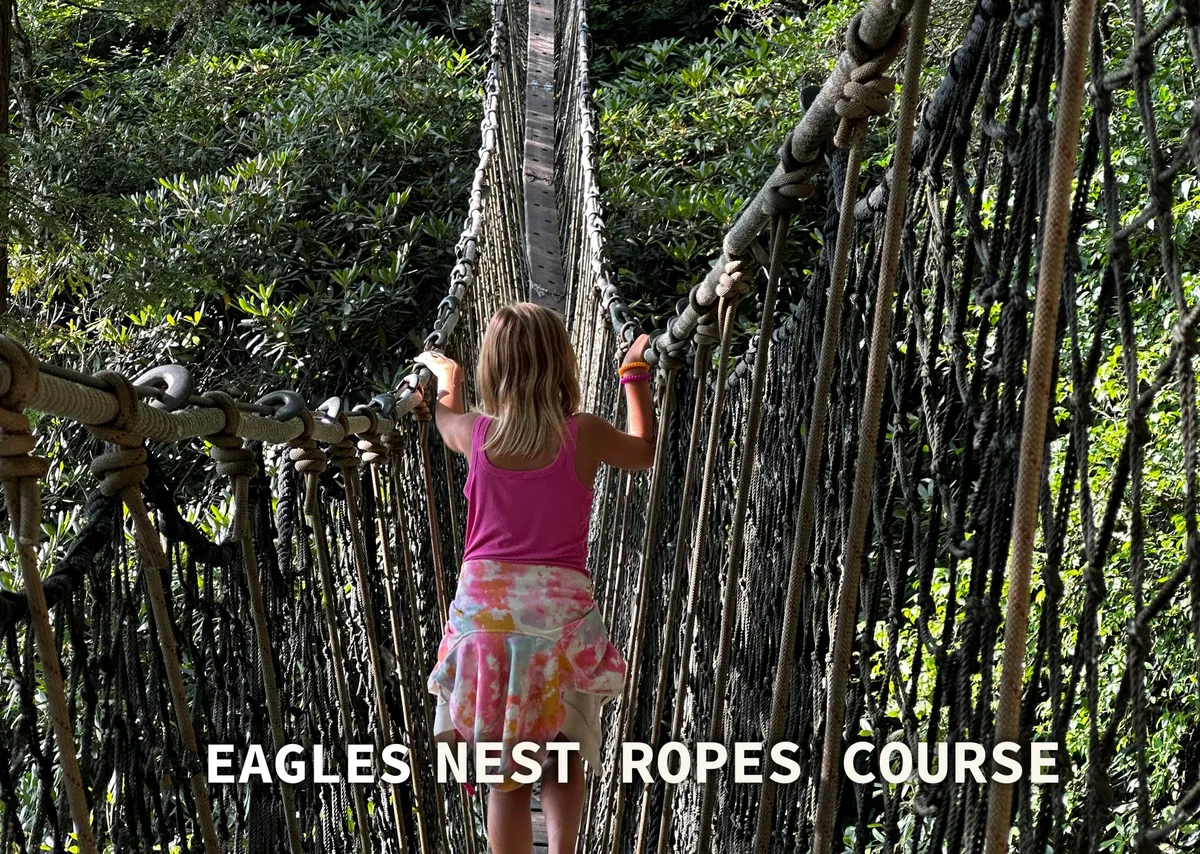 An exciting exterior shot of a child confidently crossing a rope bridge amidst lush greenery, evoking the thrill of outdoor adventure activities such as ropes courses and team-building in a wilderness setting.